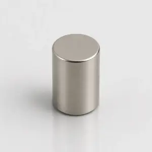D8×10mm Samarium Cobalt Cylinder Magnet