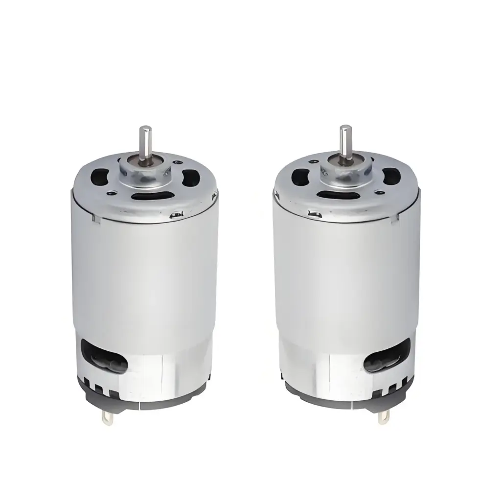 RS-55 Series DC Motor