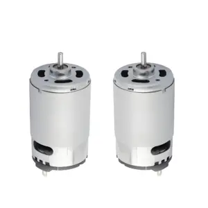 RS-55 Series DC Motor